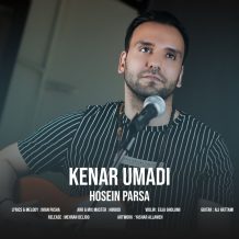 آهنگ جدید حسین پارسا به نام کنار اومدی